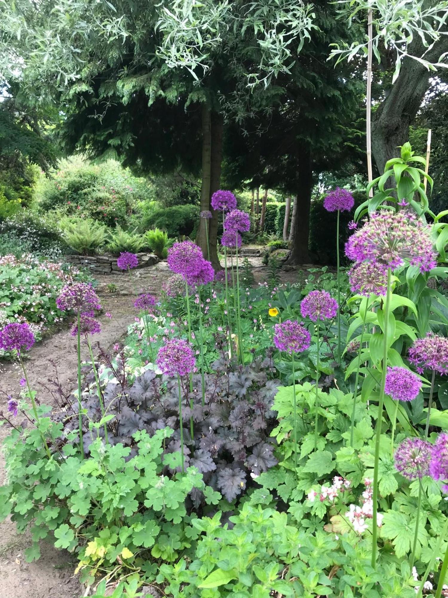 Phlomis Villa York Eksteriør bilde